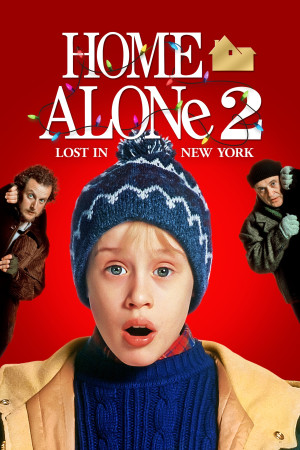 მარტო სახლში 2 ქართულად
Home Alone 2