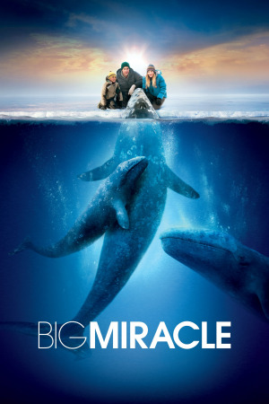 დიდი საოცრება ქართულად | Big Miracle qartulad
