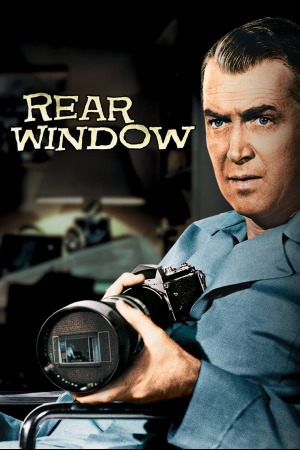 ეზოში გამავალი ფანჯარა ქართულად | Rear Window qartulad
