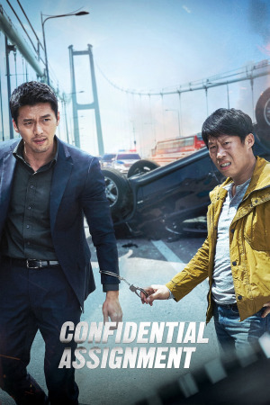 კონფიდენციალური დავალება ქართულად | Confidential Assignment qartulad