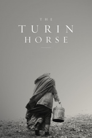 ტურინის ცხენი ქართულად | The Turin Horse qartulad
