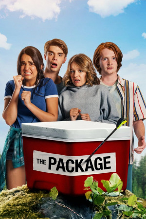 შეფუთვა ქართულად | The Package qartulad