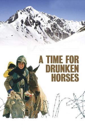 მთვრალი ცხენების დრო ქართულად | A Time for Drunken Horses qartulad