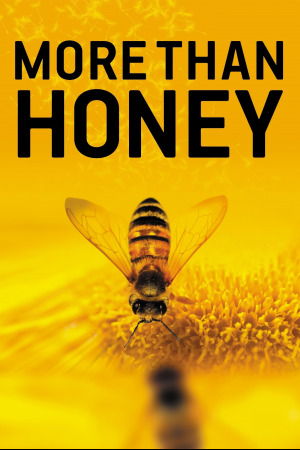 მეტი ვიდრე თაფლი ქართულად | More Than Honey qartulad