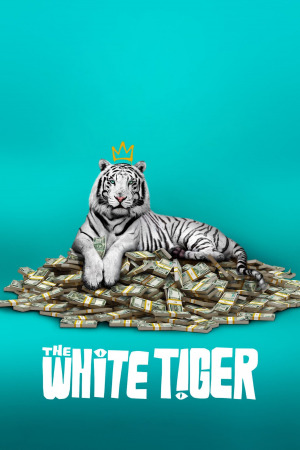 თეთრი ვეფხვი ქართულად | The White Tiger qartulad