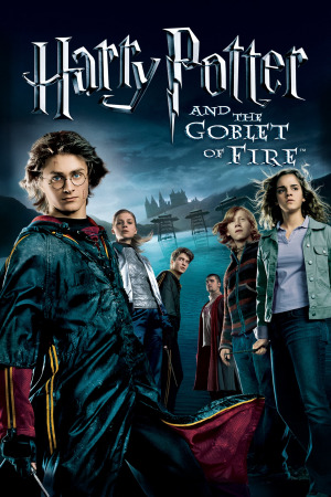 ჰარი პოტერი და ცეცხლოვანი თასი ქართულად | Harry Potter and the Goblet of Fire qartulad