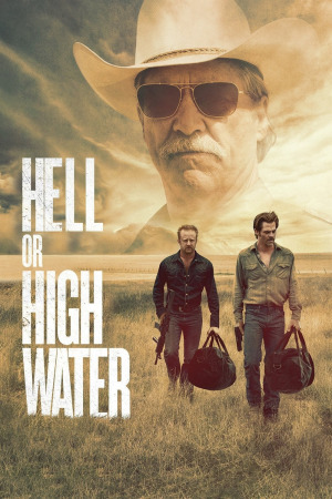 ნებისმიერ ფასად ქართულად | Hell or High Water qartulad