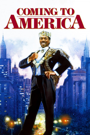 მოგზაურობა ამერიკაში ქართულად | Coming to America qartulad