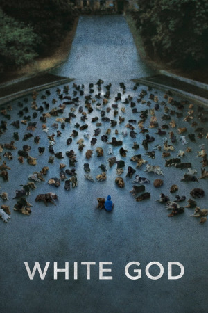 თეთრი ღმერთი ქართულად | White God qartulad