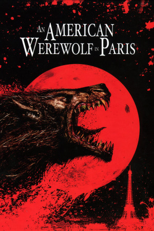 ამერიკელი მაქცია პარიზში ქართულად | An American Werewolf in Paris qartulad