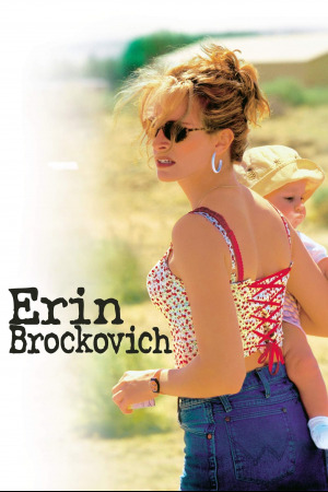 ერინ ბროკოვიჩი ქართულად | Erin Brockovich qartulad