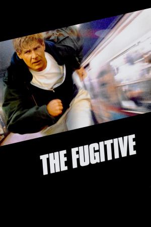 გაქცეული ქართულად | The Fugitive qartulad