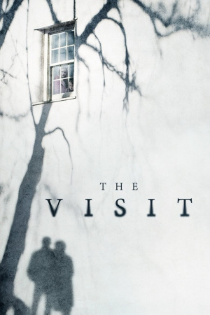 ვიზიტი ქართულად | The Visit qartulad