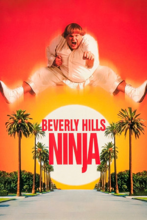 ნინძა ბევერლი ჰილზიდან ქართულად | Beverly Hills Ninja qartulad