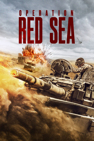 ოპერაცია წითელი ზღვა ქართულად | Operation Red Sea qartulad