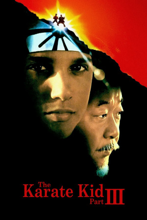კარატისტი ბიჭუნა 3 ქართულად | The Karate Kid Part III qartulad