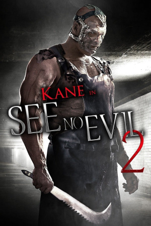 ბოროტებას ვერ ვხედავ 2 ქართულად | See No Evil 2 qartulad