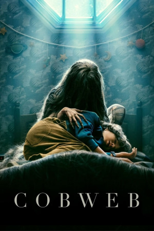 ქსელი ქართულად | Cobweb qartulad